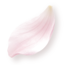 IMG 20260510 110044.png