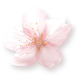 IMG 20260510 105705.png