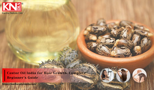 Castor Oil India for Hair Growth Complete Beginner’s Guide.png