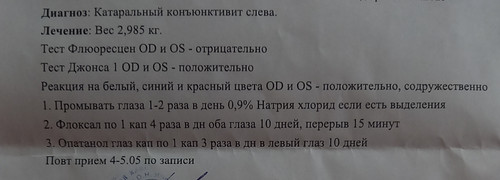 20260428 105557.jpg