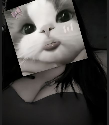 IMG 3941.png