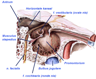 30dc090f7a23.png