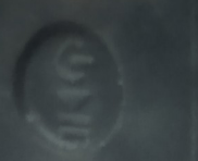 temp.png