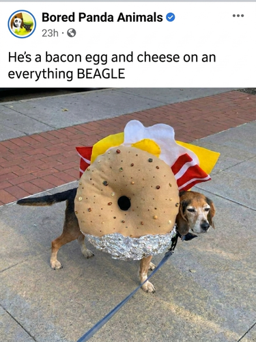 image 2026 05 11T130112.712.png
