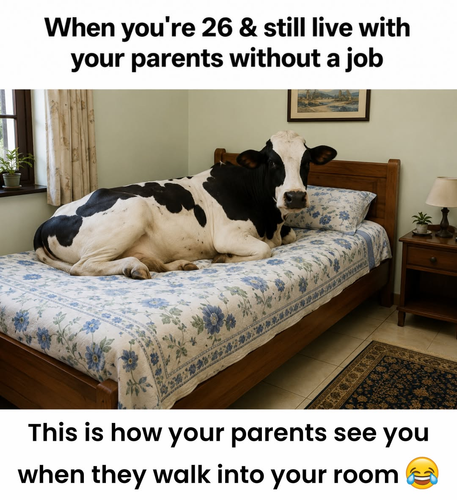 image 2026 05 11T130139.528.png