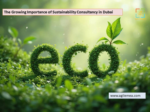 The Growing Importance of Sustainability Consultancy in Dubai.jpg