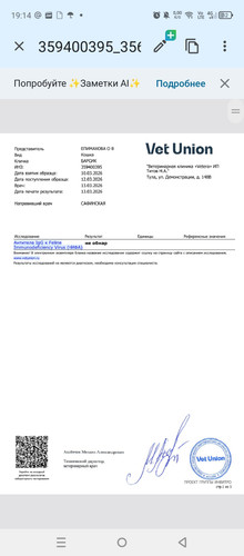 1000166854.jpg