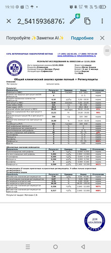 1000166850.jpg