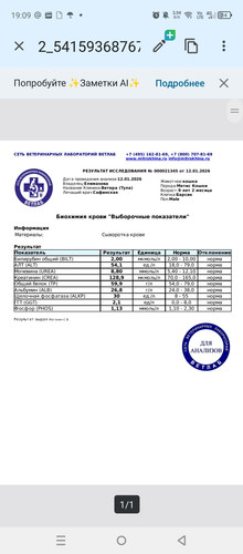 1000166849.jpg