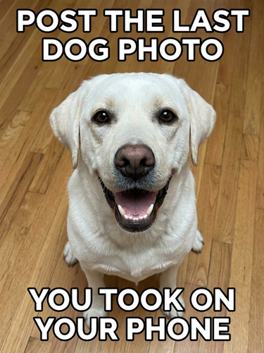 image 2026 05 11T130715.934.png