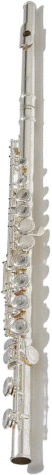 flutesilv.png