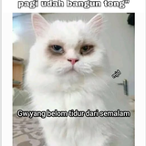 Screenshot 24.png