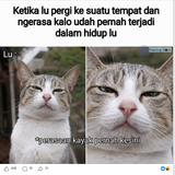 Screenshot 13.png