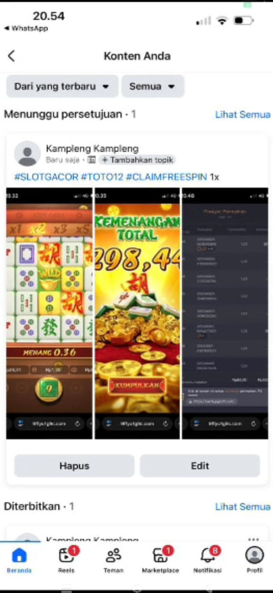 dina33.jpg