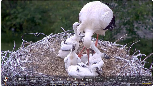 MWSnap948.jpg
