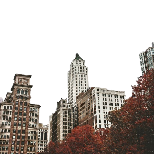 1000024762.png