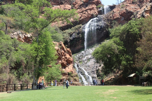 banner Waterfall at Walter Sisulu NBG JPG 20250303 133155.jpg