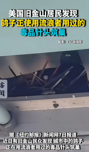 Screenshot 2026 0510 162204.png