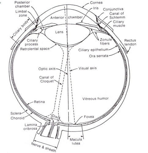 d9dcc7bad210.jpg
