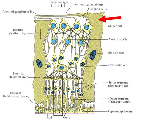 b8493d98a8bb.jpg
