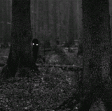 uv9x4lS.gif
