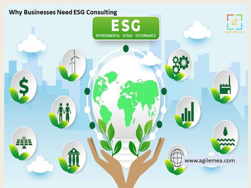 Why Businesses Need ESG Consulting.jpg