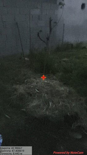 IMG 20260510 171945 13.jpg