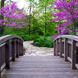 images (1)