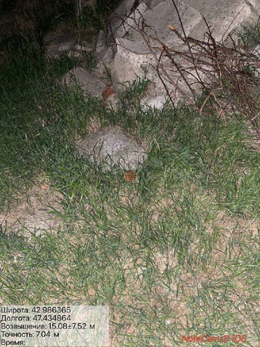 IMG 20260509 222751 5.jpg