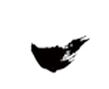 tub3.png