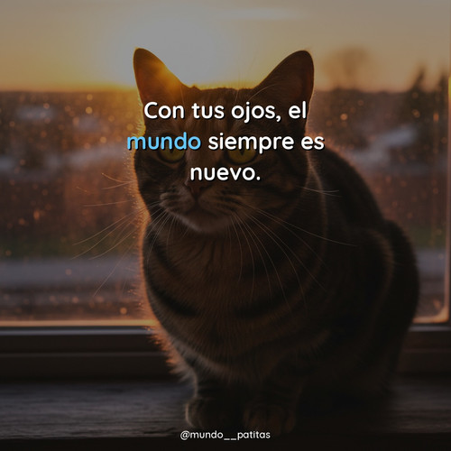 7d0a4ef92689.jpg