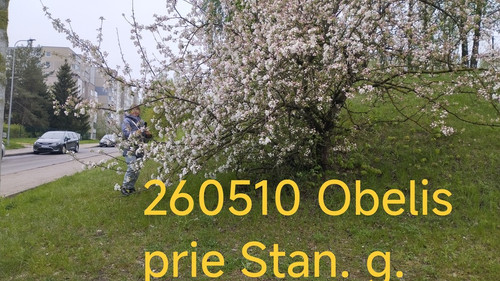 IMG 20260510 140442.jpg
