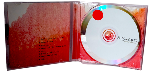 Six Organs of Admittance Cd Album 2.png