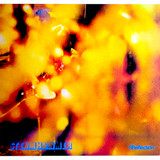 Steamhammer Reflection Music CD Cover Art