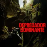 492026202546