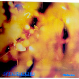 Steamhammer Reflection Music CD Album