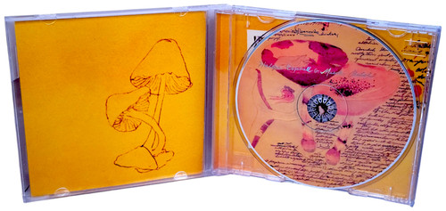 Music CD Artistic Design and Packaging.jpg
