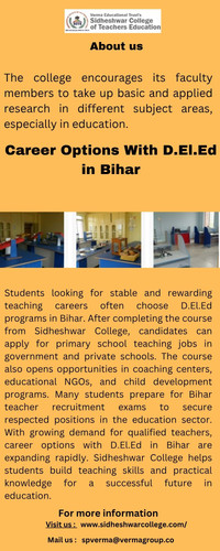 Career Options With D.El.Ed in Bihar.jpg