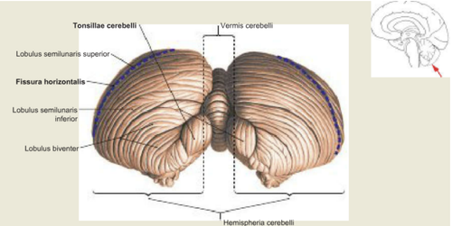 d7f69c279626.png