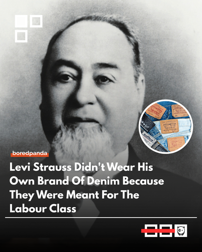 Levis.png