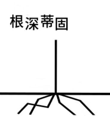 IMG 0900.jpg