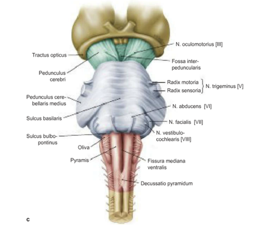 62151489795e.png