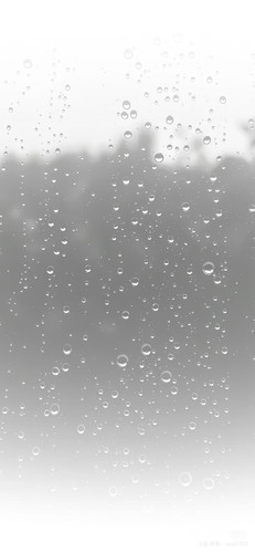 IMG 9718.jpg