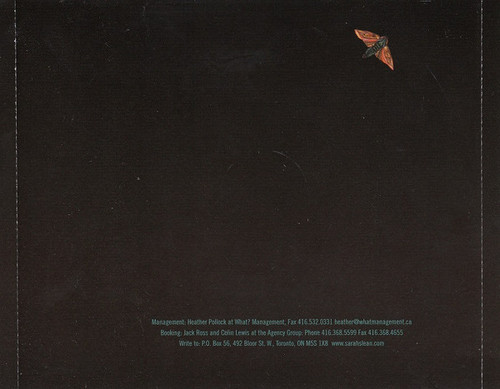 Sarah Slean Night Bugs 7.jpg