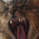 7e3cc7d07c50.png