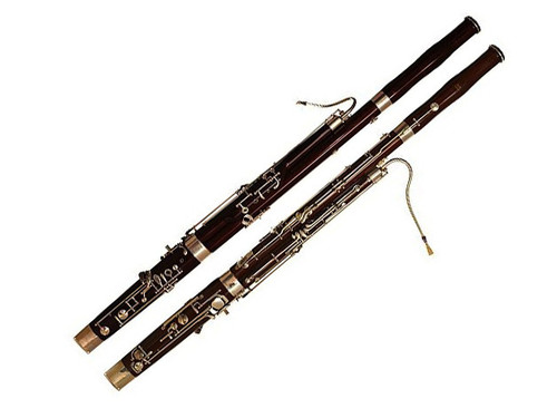 FoxBassoon flipped %281%29.jpg.jpg
