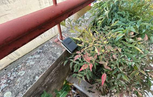 08 photo p3.jpg