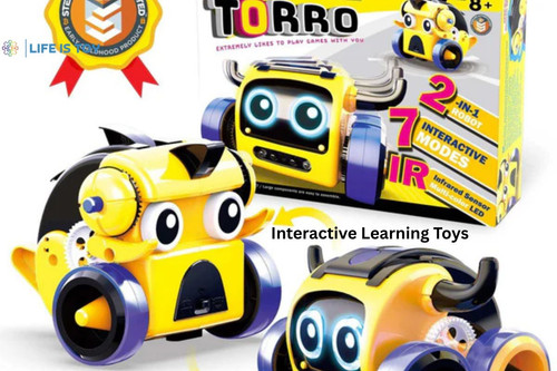 Interactive Learning Toys (1).jpg