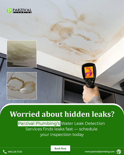 Expert Water Leak Detection Services.jpg