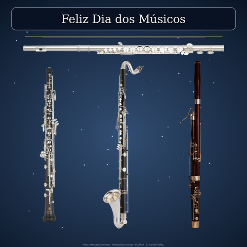 feliz dia dos musicos.jpg